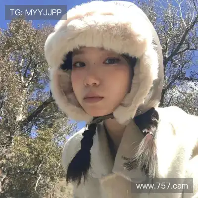梅鹃仪